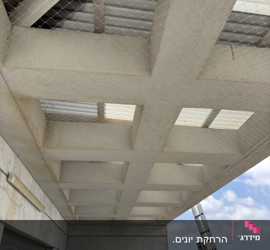 רשת יונים מותקנת על תקרה במרפסת עם סולם בצד